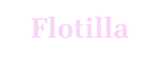Flotilla